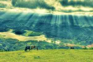 Dalat Langbiang Mountain