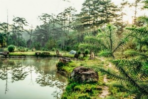 Dalat Bidoup National Park